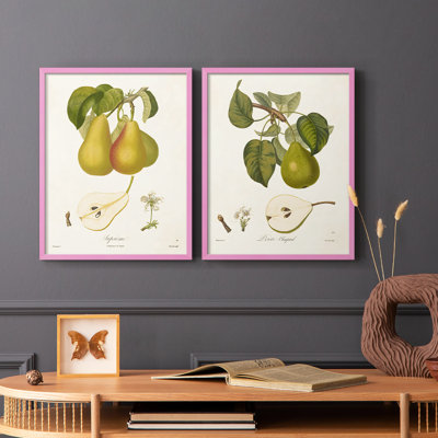 Reproduction encadrée Vintage Pears V-Premium - prête à être accrochée - aucun clou requis - aucun clou requis