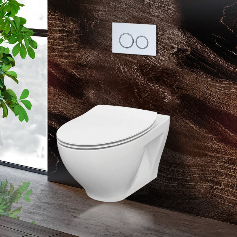StormOn Dual-Flush Round Wall-Mount (Seat Included), White, 6"