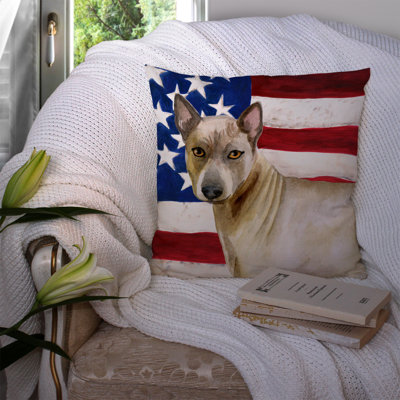 Outdoor Throw Pillow