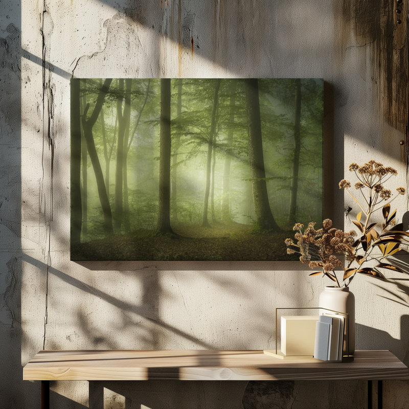 1 Piece Wrapped Canvas Wall Art
