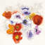 Fleurs spring, impression sur toile tendue-74875629-74875627-19754321