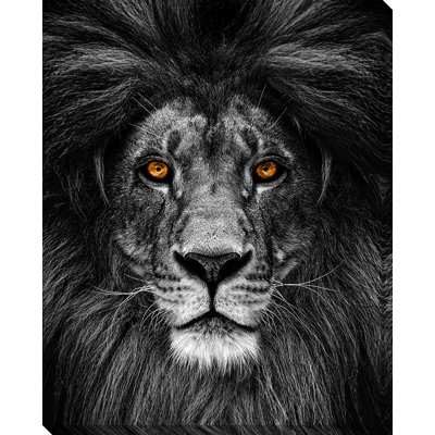 Art sur toile Golden Eyes