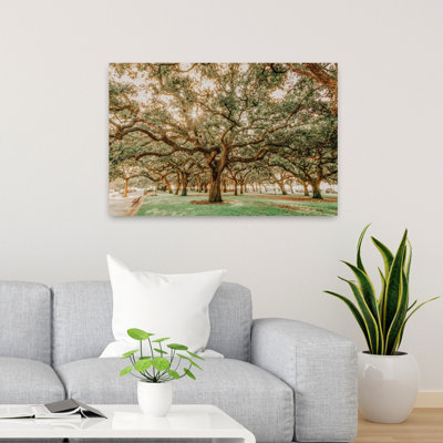 Low Country Oaks II 1 Piece Wrapped Canvas Wall Art