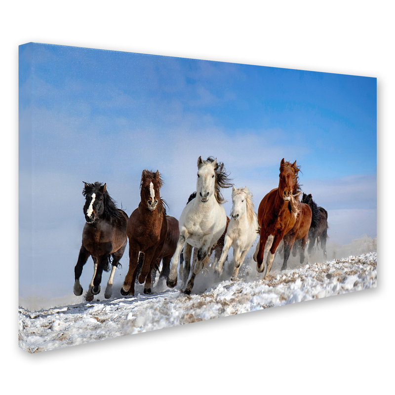 Art mural sur toile tendue - «Mongolia Horses» par Libby, décoration murale pour le salon, la chambre à coucher ou le bureau - 30 x 47
