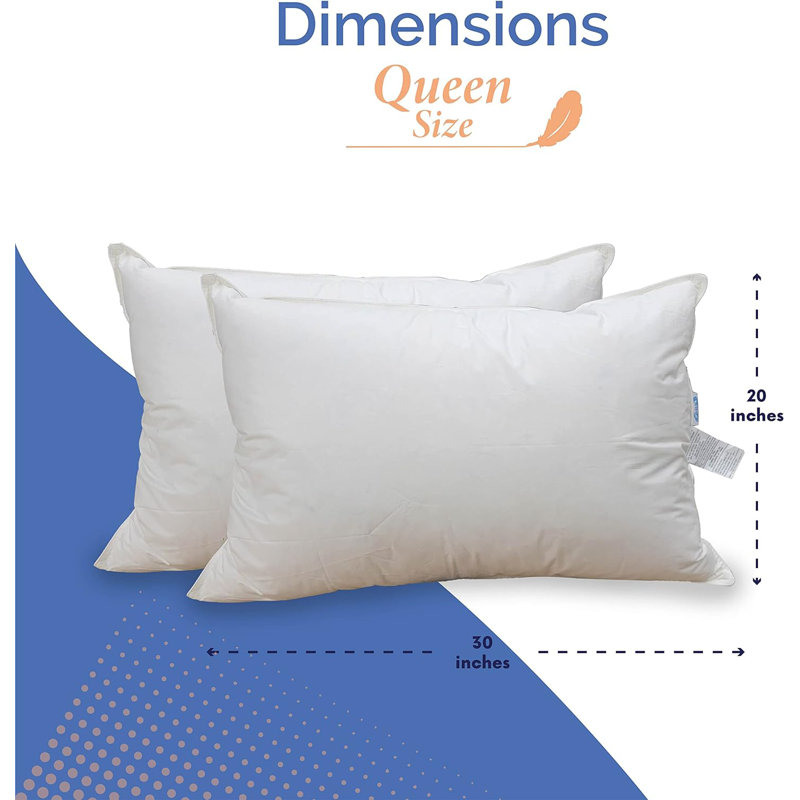 Goose Down Pillow, 30" H x 20" W
