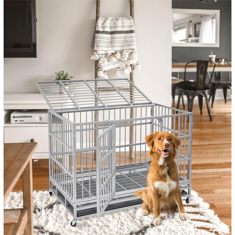 Dog Cage Medium Sized Dog 52