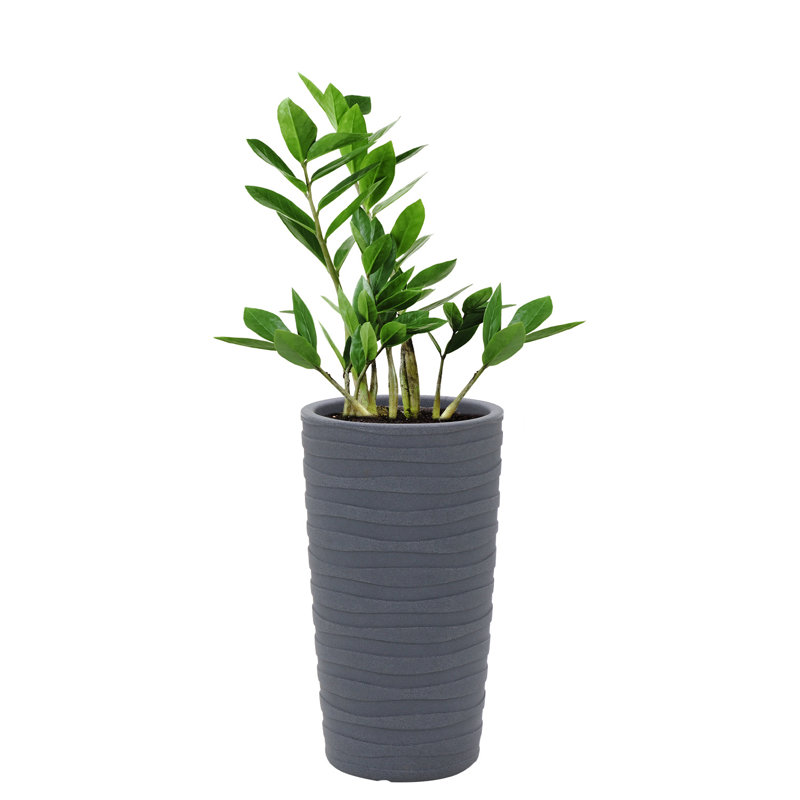 Pot Planter, Graphite