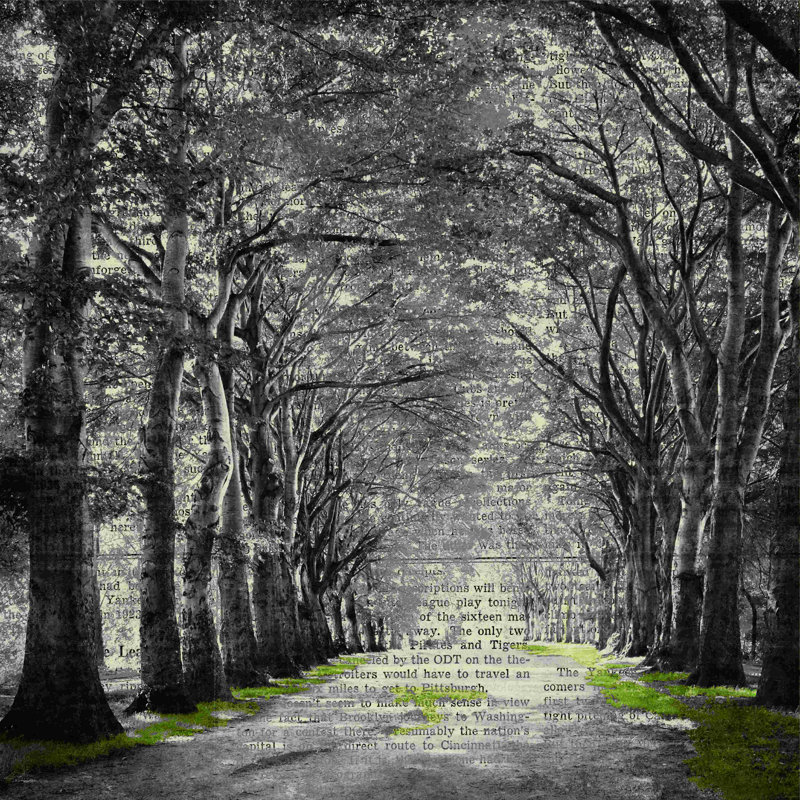 Sentier des arbres - nouvelles, H 12 po x l 12 po