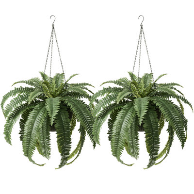 Adcock 30" Fern Plant in Basket