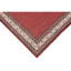 Hand Knotted Wool Oriental Area Rug in Red/Cream/Brown