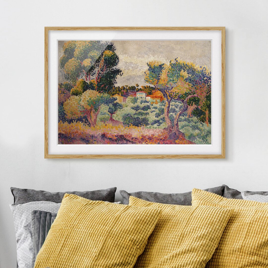 Gerahmtes Poster Eukalyptus und Olivenhain von Henri Edmond Cross