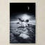 «Jenda Emotion High» par Philippe Sainte-Laudy - reproduction de photo sur toile tendue-1516949894