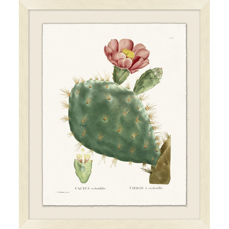 Blooming Cacti 4 Print by Nathan Turner
