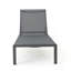 Chaise longue, ensemble de 2, pour l'extérieur-2006377969-2006377982