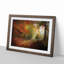Autumn Forest - Framed Print-55456834-55456837