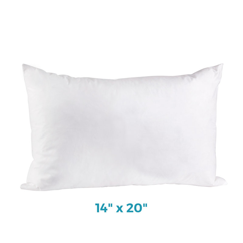 Bourrure de coussin de forme carré, 14 po x 20 po, Plumes