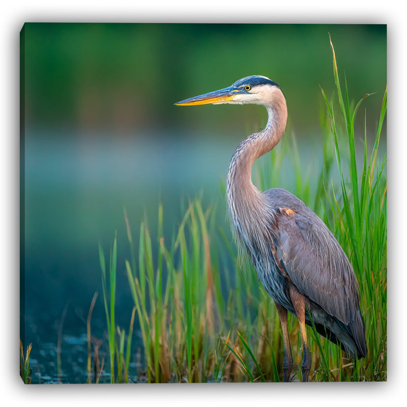«Verdant Shore Heron», art mural sur toile tendue, H 40 po x l 40 po