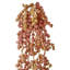 Vigne 18 po en plastique naturel-1651645302