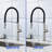 RX6000BN Kitchen Faucet 10"W Deck Plate-94259050