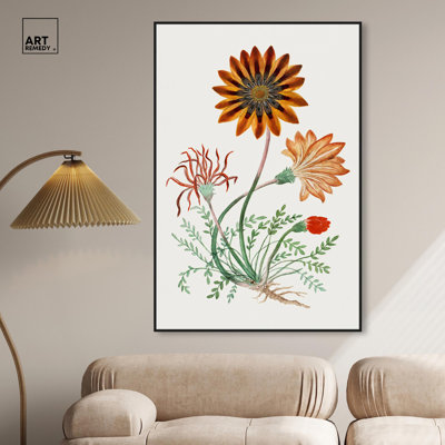 Art Remedy, reproduction d'art sur toile, Gorteria Diffusa