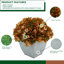 Arrangement d'hortensias lavande en pot synthétique-1553681561-1488260805