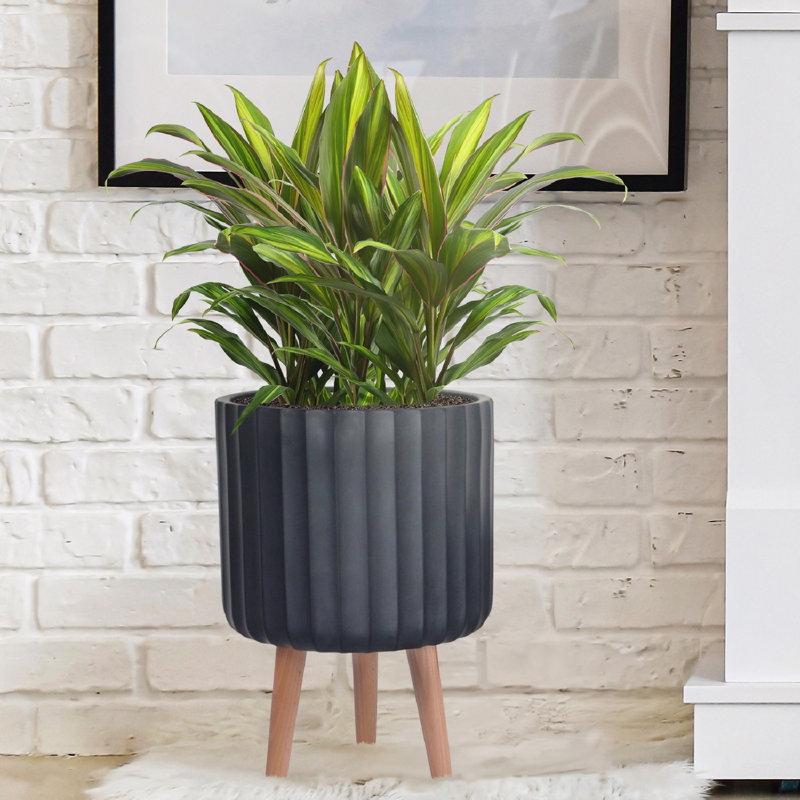 Modern Ribbed Cylinder Round Planter with Feet, Black, 41cm H x 30cm W x 30cm D
