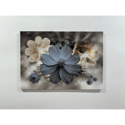 Print on Canvas
