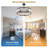 28" Caged Ceiling Fan with Light, 5 E26 Sockets, Quiet DC Motor, Remote Control