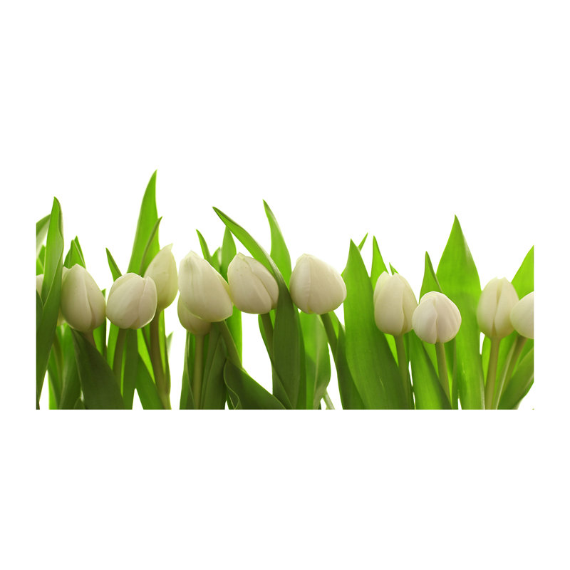 White Tulips - Wrapped Canvas Print