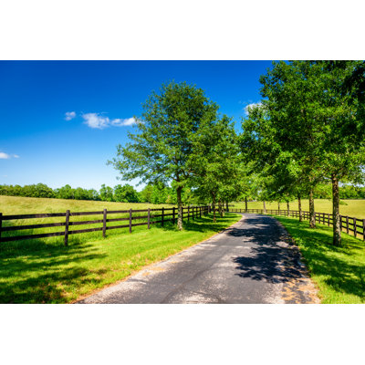 " Country Road " by Alexeys
