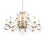 Windsor 14 - Light Chandelier