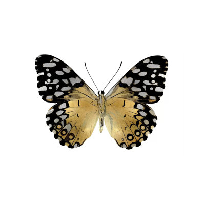 Golden Butterfly IV by Julia Bosco - Gallery-Wrapped Canvas Giclée on Canvas