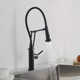 Engel Single Handle Pull Down Kitchen Faucet