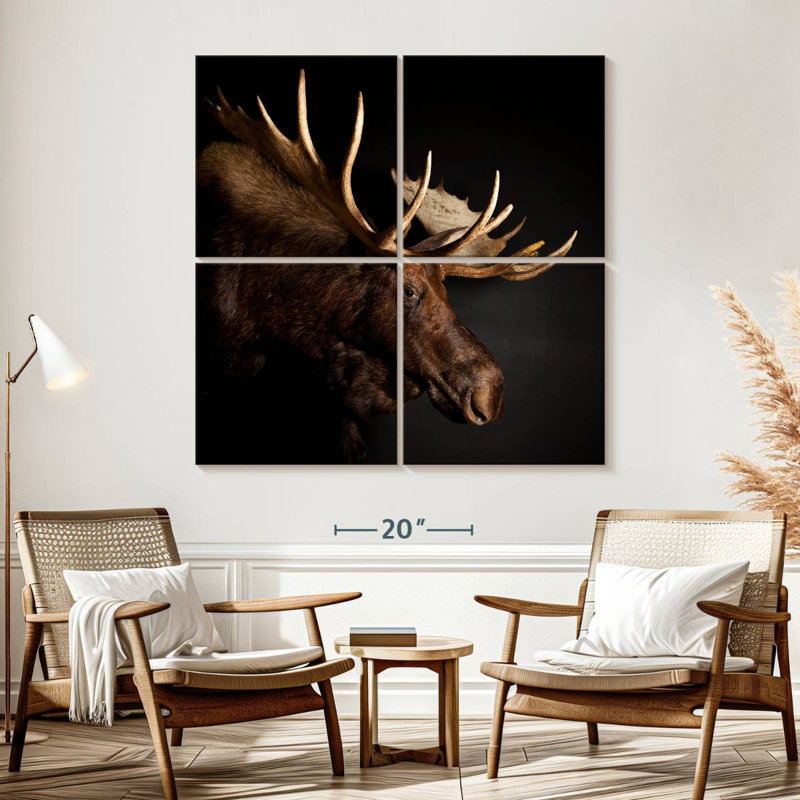 Brampt Antlered Moose, 57" H x 57" W