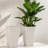 Amimma Self-Watering Rectangular Tall Planters-1514712164-1547991789-1579801031
