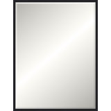 Kempton Solid Wood Beveled Mirror