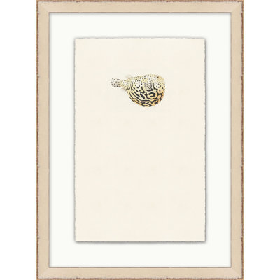 Petite Fish 4 Print