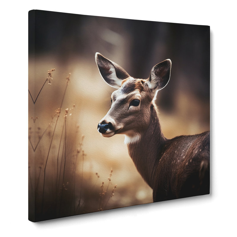 Deer Photograph - Print