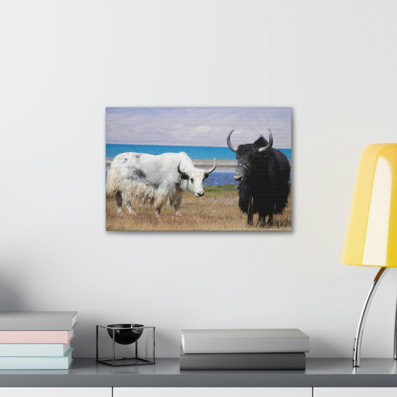 «Yak Couple Yak Couple», art mural animal, H 12 po x l 18 po