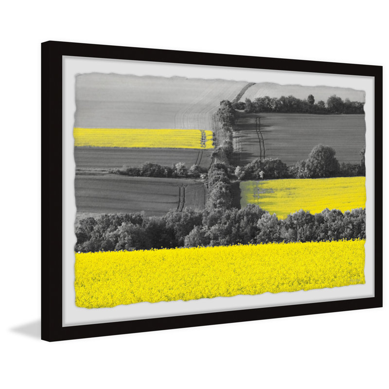 Spring Colours - Single Picture Frame Print, 20cm H x 30cm W x 3.81cm D
