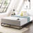 Modernista 6'' Steel Bed Frame-1226004108
