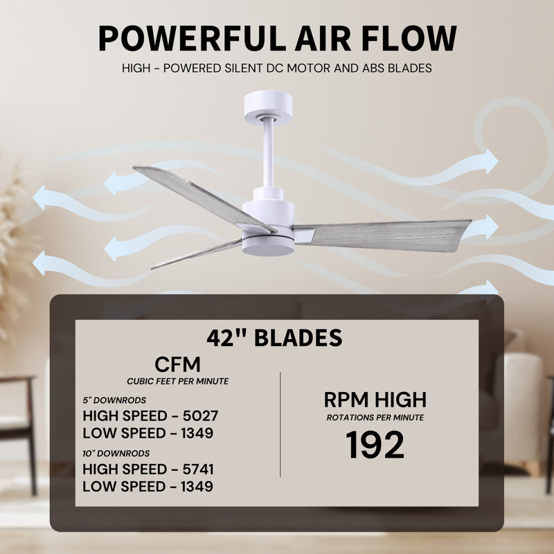 Alessandra Outdoor Downrod Ceiling Fan, Matte White, Barn Wood Tone