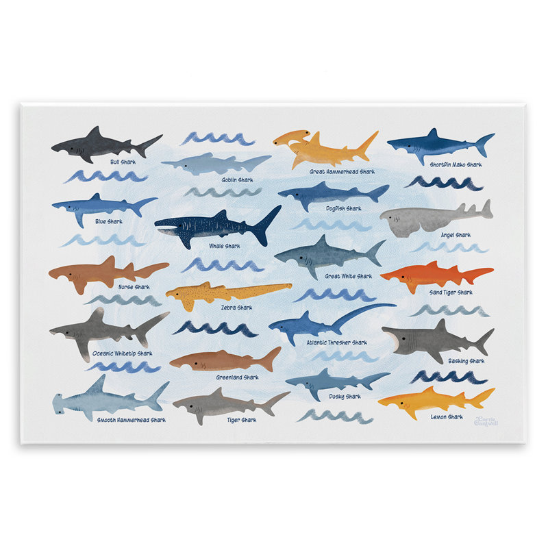 Art varié, "Shark Breeds", par Carrie Cantwell, H 10 po x l 15 po