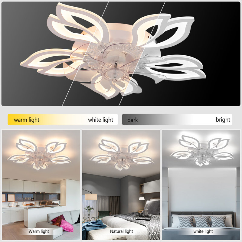 Ceiling Fan with LED Lights