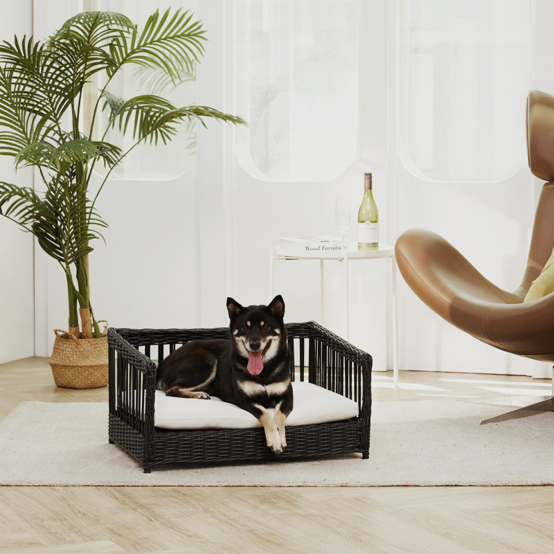 Teamson Pets Clotho Outdoor Wicker Cat or Small Dog Daybed