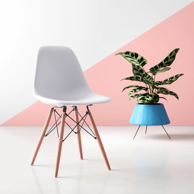 Eiffel Dining Chair With Natural Base, White