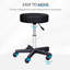 Adjustable Height Lab Stool