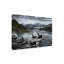«Killer Whales» par Fazulla, reproduction d'art sur toile tendue-27488695