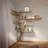 Bookshelf Bookcase