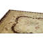 Wool Oriental Area Rug in Beige